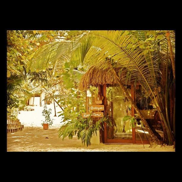 Casa Violeta Hotel Tulum Pueblo Buitenkant foto