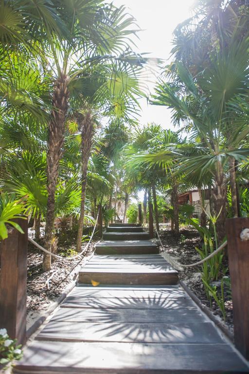 Casa Violeta Hotel Tulum Pueblo Buitenkant foto