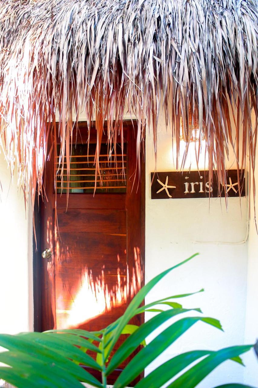 Casa Violeta Hotel Tulum Pueblo Buitenkant foto